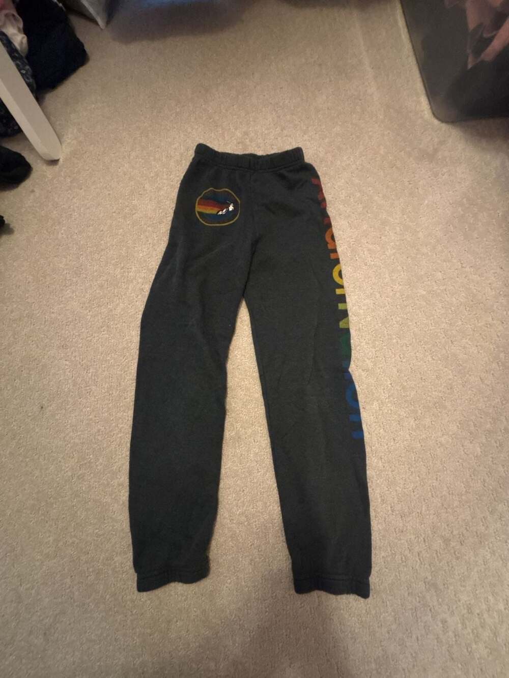Aviator Nation Charcoal Venice CA Rainbow Sweatpants kids Size 10